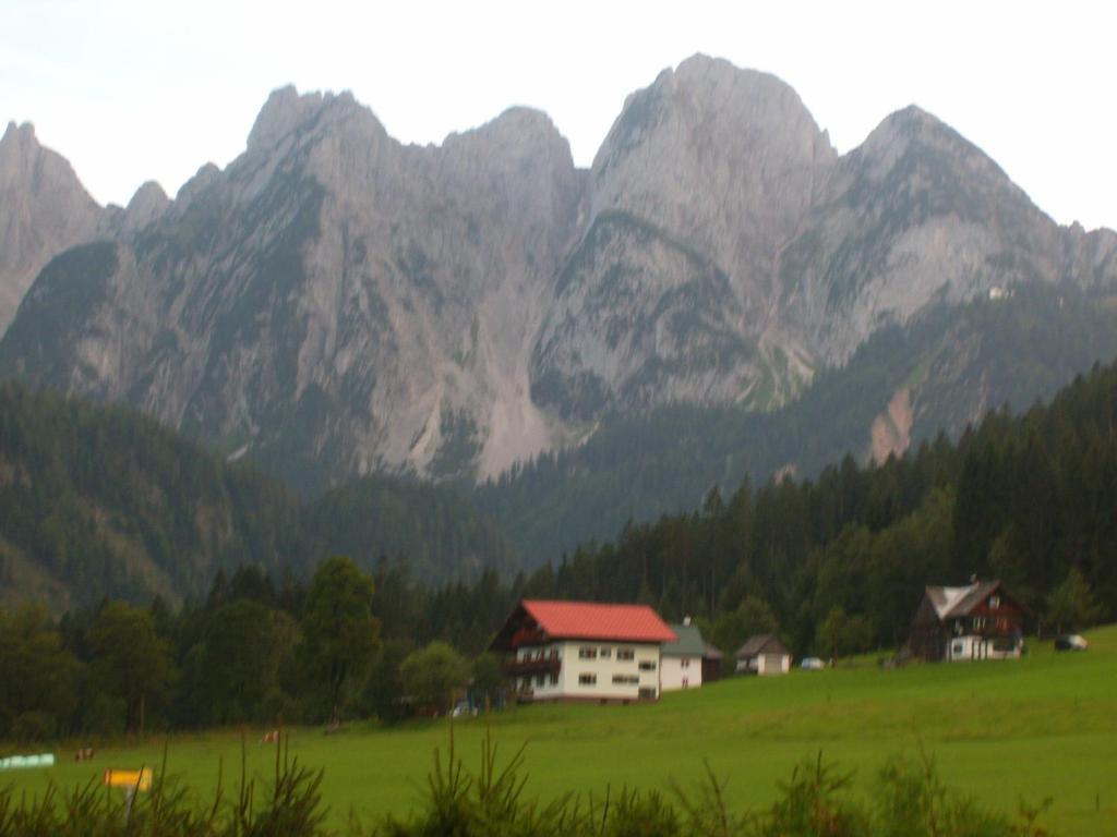 Privatpension Gosaukammblick 部屋 写真